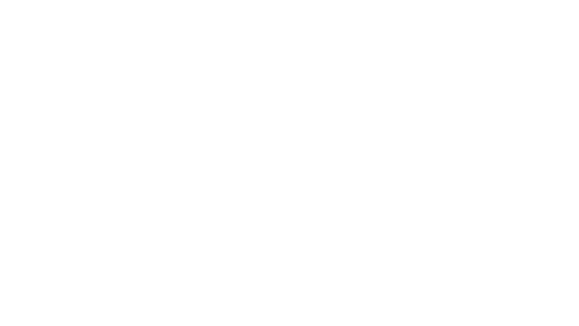 ZHONGLONG _
