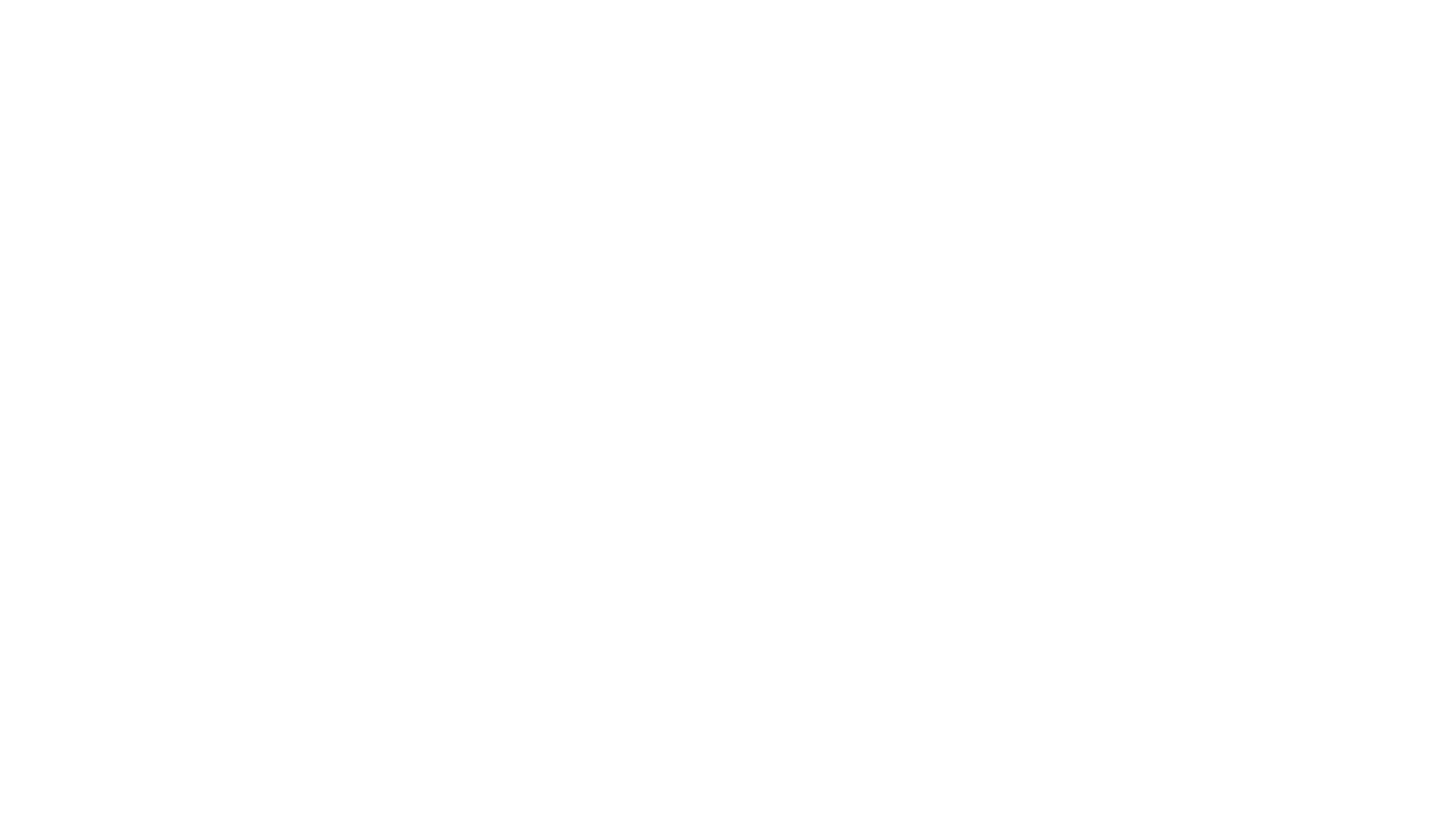 shenlong zınc